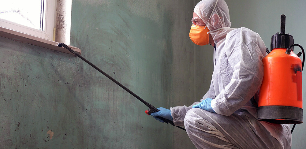 Inland Water Damage provides professional mold inspections and remediation near Redlands CA.