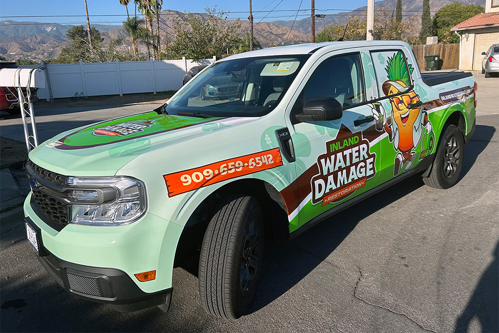 Bloomington mold reduction services provided by water damage experts.